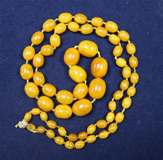 A single strand graduated oval amber bead necklace, gross weight 50 grams, 86cm.